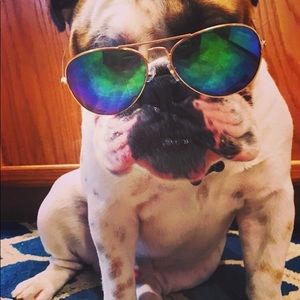 Meet your Posher, Marie